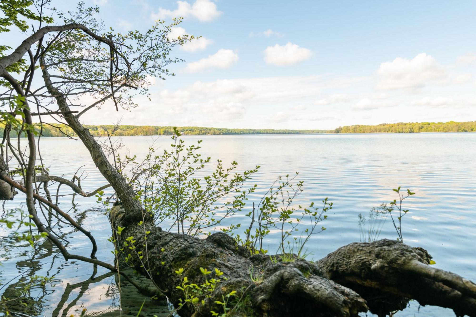Budget Seezeit-Resort Am Werbellinsee Altenhof  Extérieur photo